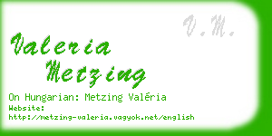 valeria metzing business card