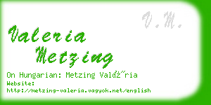 valeria metzing business card